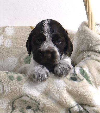 Noreen From Dusty's Home