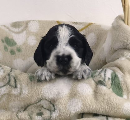 Nathaira From Dusty's Home