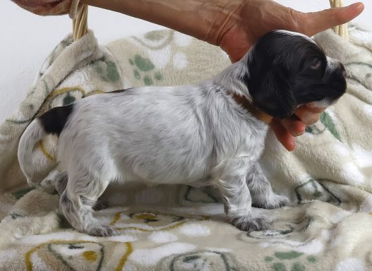 Noreen From Dusty's Home